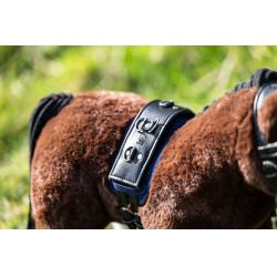 Set longe Cuddle Pony HKM Set longe Cuddle Pony HKM