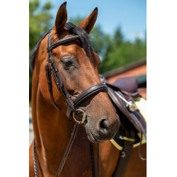 Bridon Hunter 2 HKM Donkerbruin