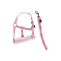 Ster set Cuddle Pony HKM Roze sterren