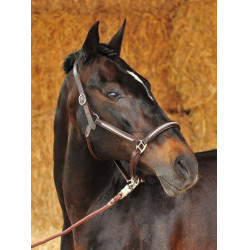 Lederen halster Diamond HKM Lederen halster Diamond HKM