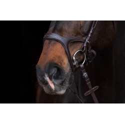 Bridon Anatomisch Sport HKM Zwart