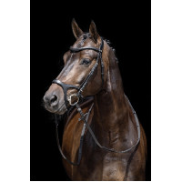 Bridon Anatomisch Sport HKM Bruin