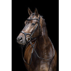 Bridon Anatomisch Sport HKM Zwart