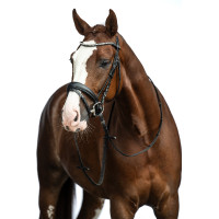 Bridon Bella HKM Zwart Bridon Bella HKM Zwart