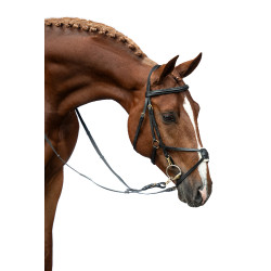 Versterkte Mexicaanse stijl hoofdstel, schaap HKM Bruin