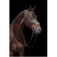 Versterkte Mexicaanse stijl hoofdstel, schaap HKM Bruin