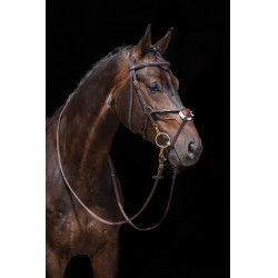 Versterkte Mexicaanse stijl hoofdstel, schaap HKM Bruin