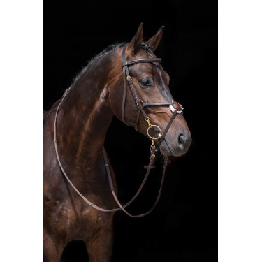 Versterkte Mexicaanse stijl hoofdstel, schaap HKM Bruin