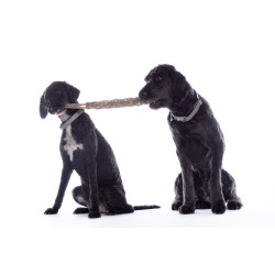 Hondenspeeltje Buddy Knot Bone HKM Hondenspeeltje Buddy Knot Bone HKM