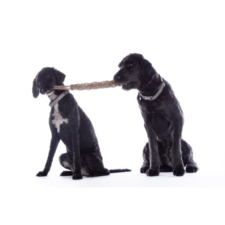 Hondenspeeltje Buddy Knot Bone HKM Hondenspeeltje Buddy Knot Bone HKM
