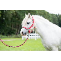 Longe Aymee met musketonhaak HKM Rood Longe Aymee met musketonhaak HKM Rood