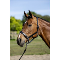Lederen halster Economic HKM Bruin