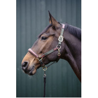 Halster Luna leer en nylon HKM Donkerblauw / bruin