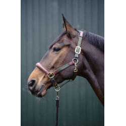 Halster Luna leer en nylon HKM Groen / bruin