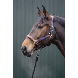 Halster Luna leer en nylon HKM Donkerblauw / bruin