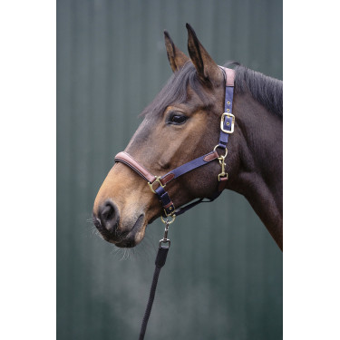 Halster Luna leer en nylon HKM Donkerblauw / bruin