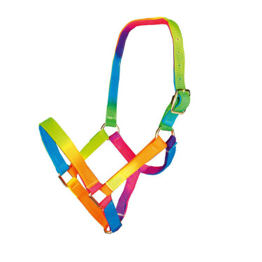 Licol nylon pour Shetland Multicolor HKM Licol nylon pour Shetland Multicolor HKM