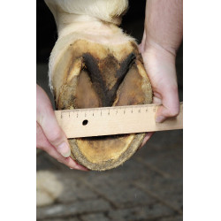 HKM Hoefschoenen HKM Hoefschoenen
