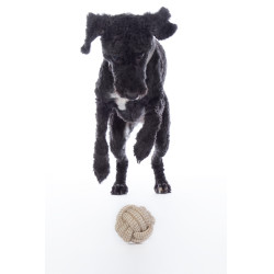 Hondenspeeltje Buddy Knot Ball HKM Hondenspeeltje Buddy Knot Ball HKM