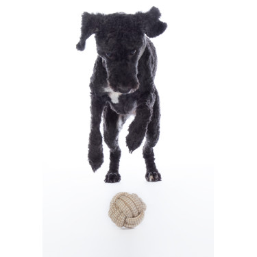 Hondenspeeltje Buddy Knot Ball HKM Hondenspeeltje Buddy Knot Ball HKM