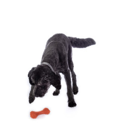 Hondenspeeltje Buddy Bone I natuurlijk rubber HKM Oranje