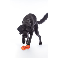 Honden speelgoed Buddy Bone II natuurrubber. HKM Oranje