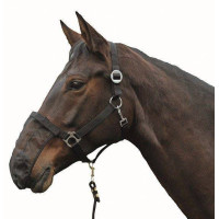 Neusbeschermers HKM per 3 Zwart