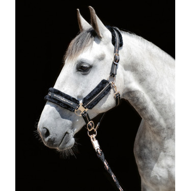 Halster Rosegold HKM Zwart / roségoud Halster Rosegold HKM Zwart / roségoud