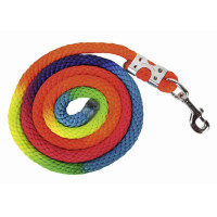 Longe Multicolor met musketon HKM Veelkleurig Longe Multicolor met musketon HKM Veelkleurig