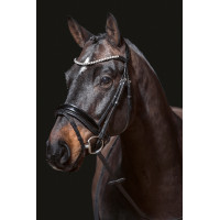 Bridon Fleur HKM Zwart