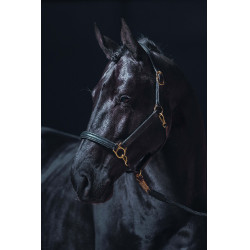 Leren halster Gold HKM Zwart