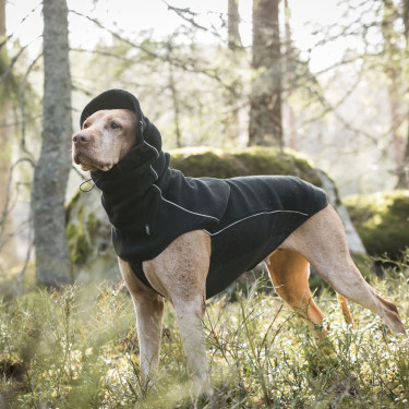 Nekwarmer voor honden Back on Track Benji Nekwarmer voor honden Back on Track Benji