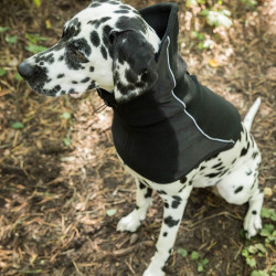 Nekwarmer voor honden Back on Track Benji Zwart Nekwarmer voor honden Back on Track Benji Zwart