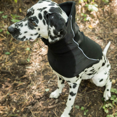 Nekwarmer voor honden Back on Track Benji Nekwarmer voor honden Back on Track Benji