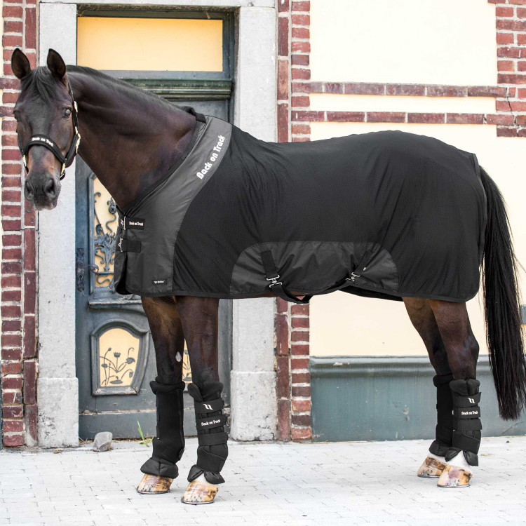 Deluxe Netwerkhemd Back on Track