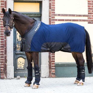 Deluxe Netwerkhemd Back on Track Blauw