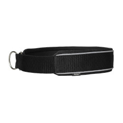 Halsband voor hond Charlie Back on Track Zwart