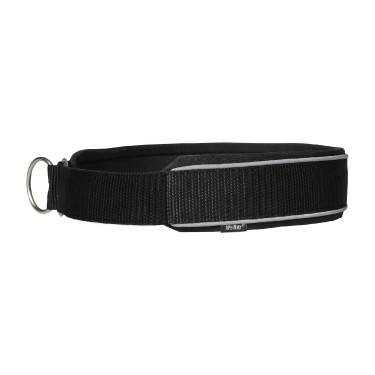 Halsband voor hond Charlie Back on Track Zwart