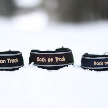 Halsband voor hond Charlie Back on Track Zwart