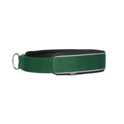 Halsband voor hond Charlie Back on Track