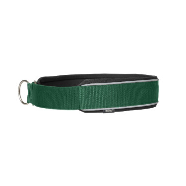 Halsband voor hond Charlie Back on Track
