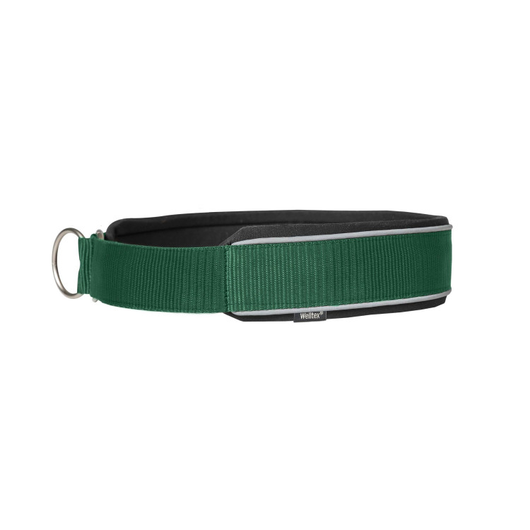 Halsband voor hond Charlie Back on Track