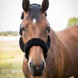 Halster Audrey Back on Track Halster Audrey Back on Track
