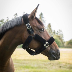 Halster Audrey Back on Track Halster Audrey Back on Track