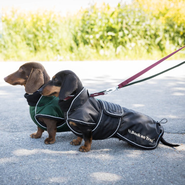 Lange jas voor hond Back on Track Buddy Zwart