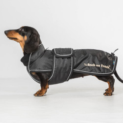 Lange jas voor hond Back on Track Buddy Zwart