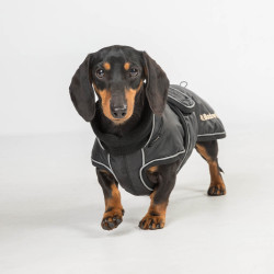 Lange jas voor hond Back on Track Buddy Zwart