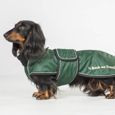 Lange jas voor hond Back on Track Buddy Groen