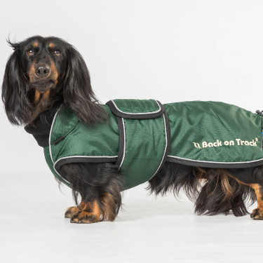Lange jas voor hond Back on Track Buddy Groen