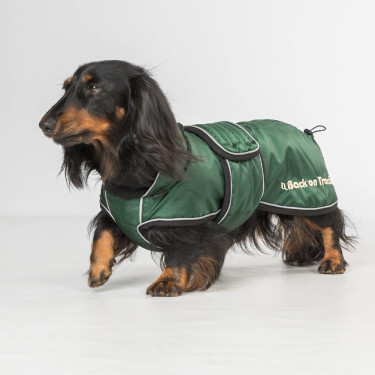 Lange jas voor hond Back on Track Buddy Groen